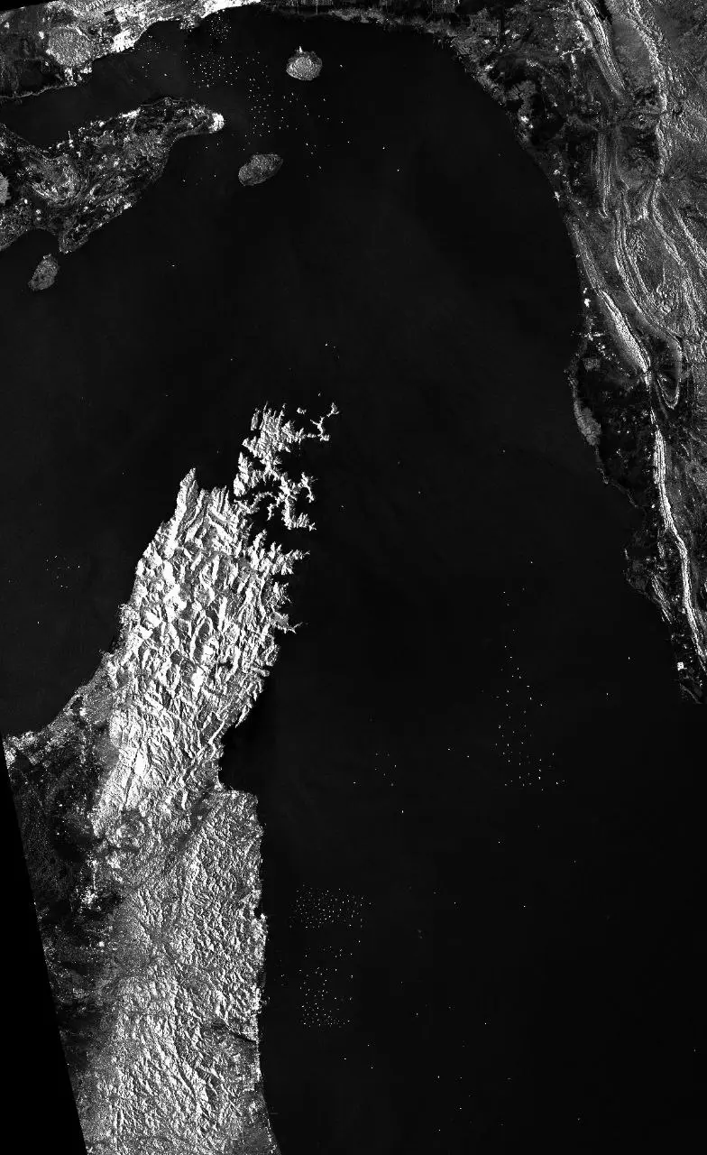 IMG_20260313_040749_346