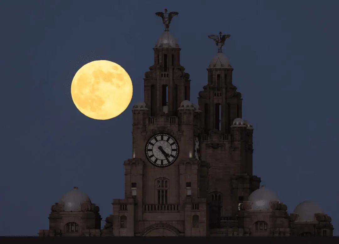 IMG_20260104_195939_809