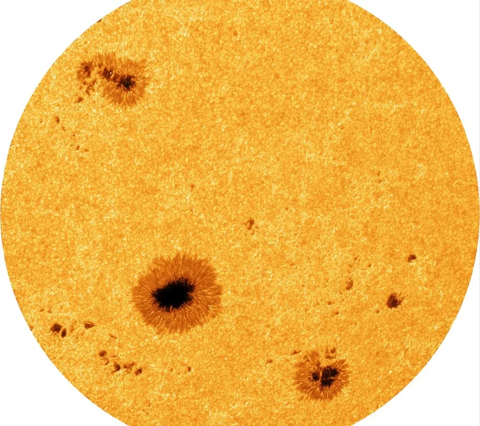 63473542