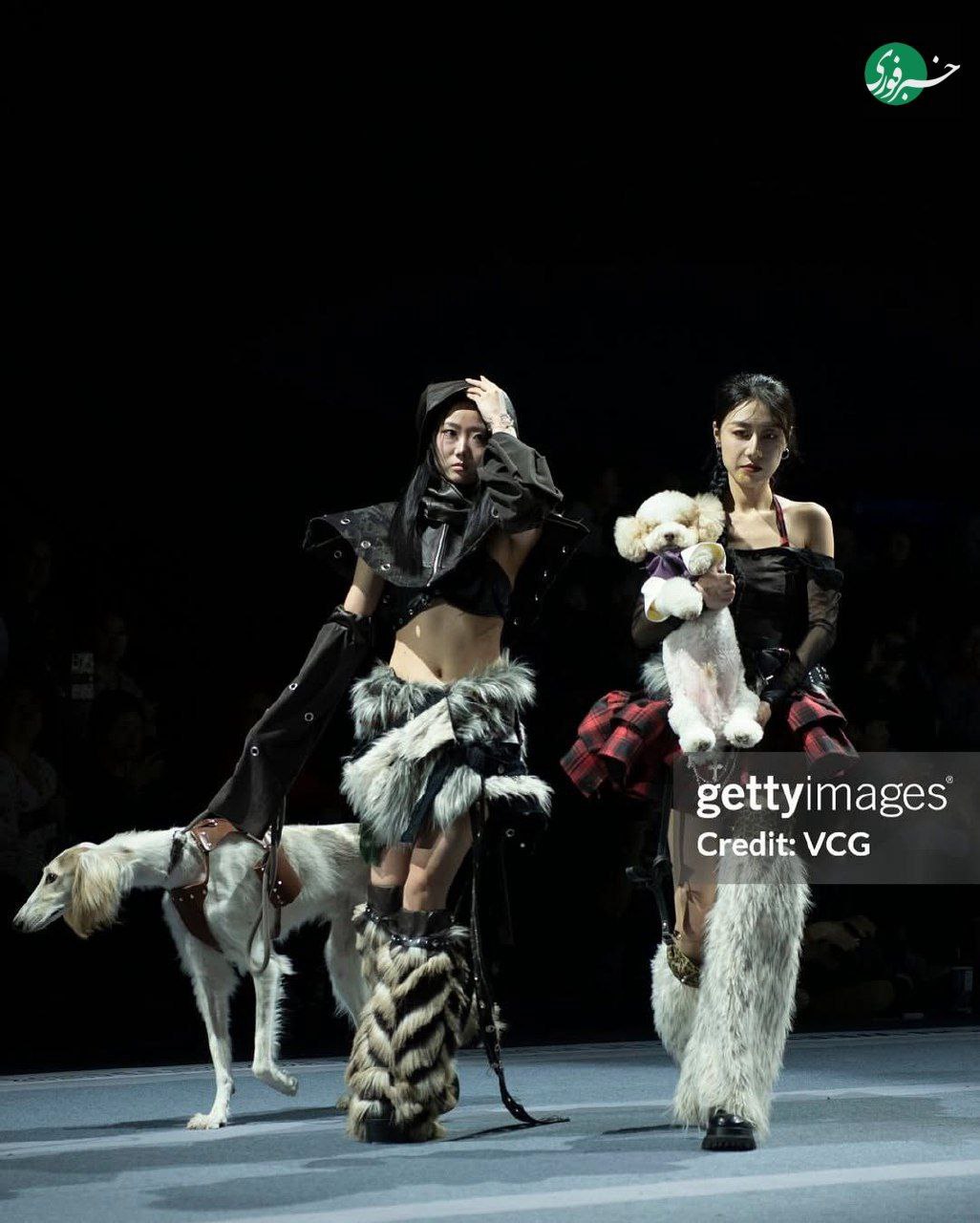 photo_۲۰۲۵-۱۱-۰۸_۰۲-۵۸-۰۶ (6)