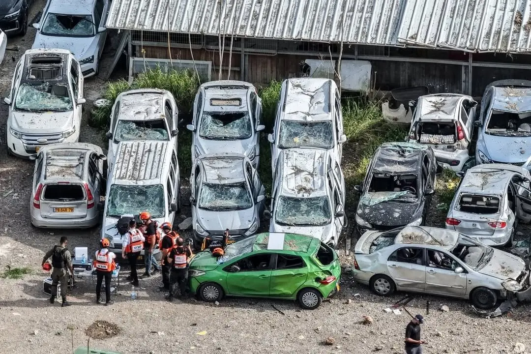 photo_2026-03-29_03-16-29