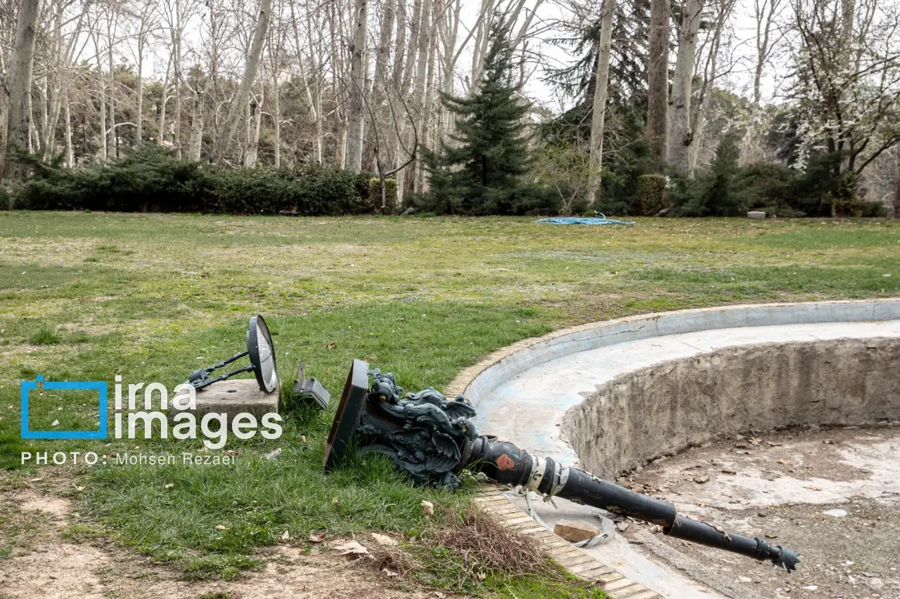 photo_2026-03-19_15-22-36 (5)