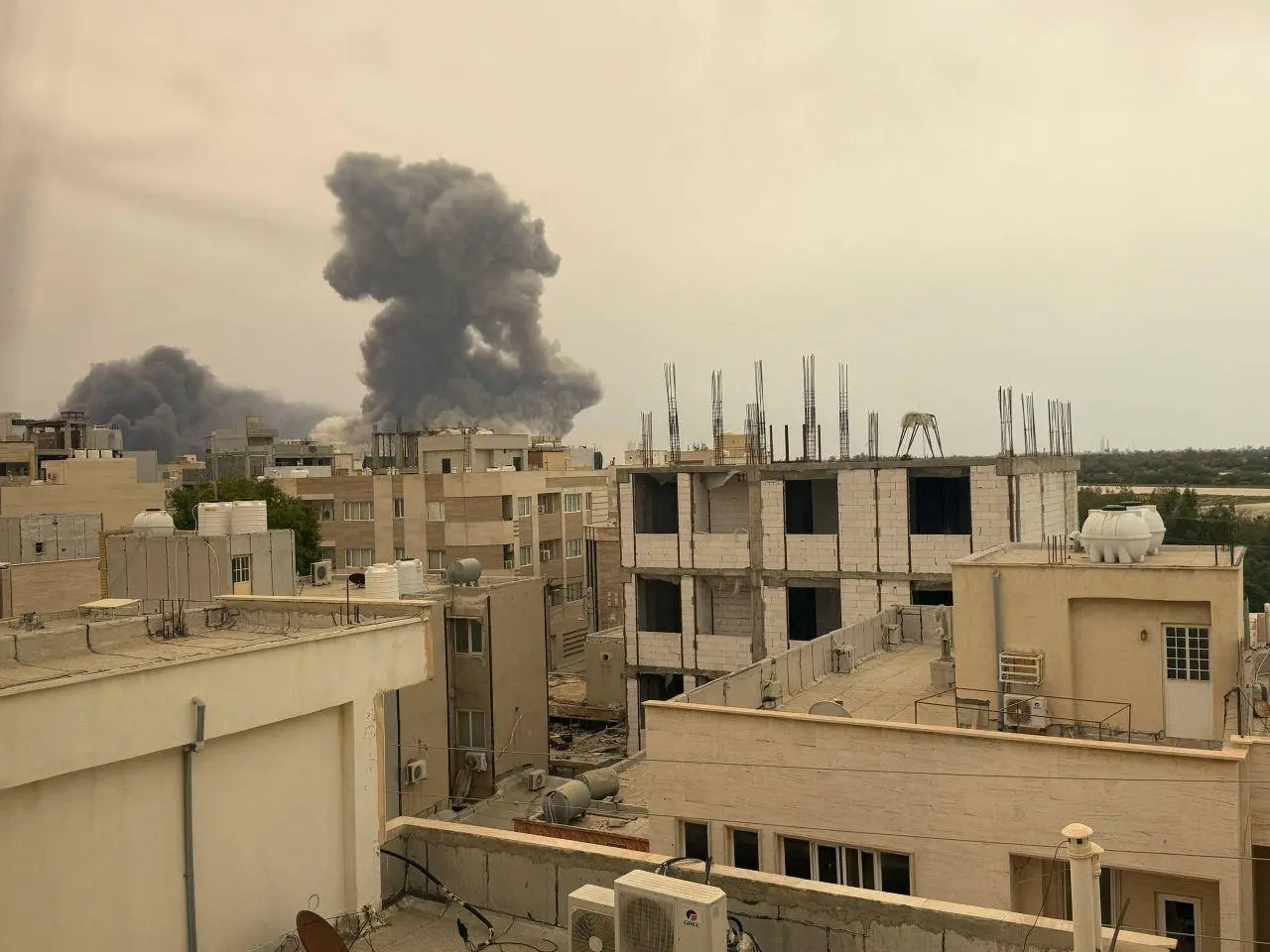 photo_2026-03-03_11-19-25