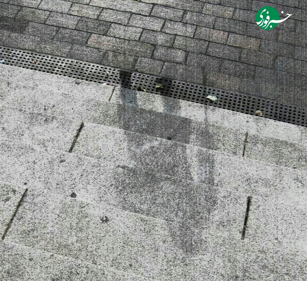 photo_۲۰۲۵-۰۹-۱۱_۱۱-۱۵-۱۰