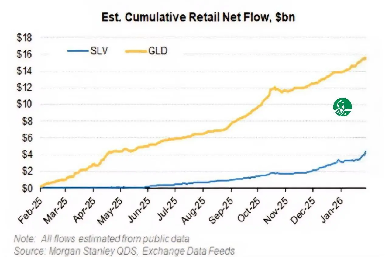 photo_2026-02-10_17-38-34