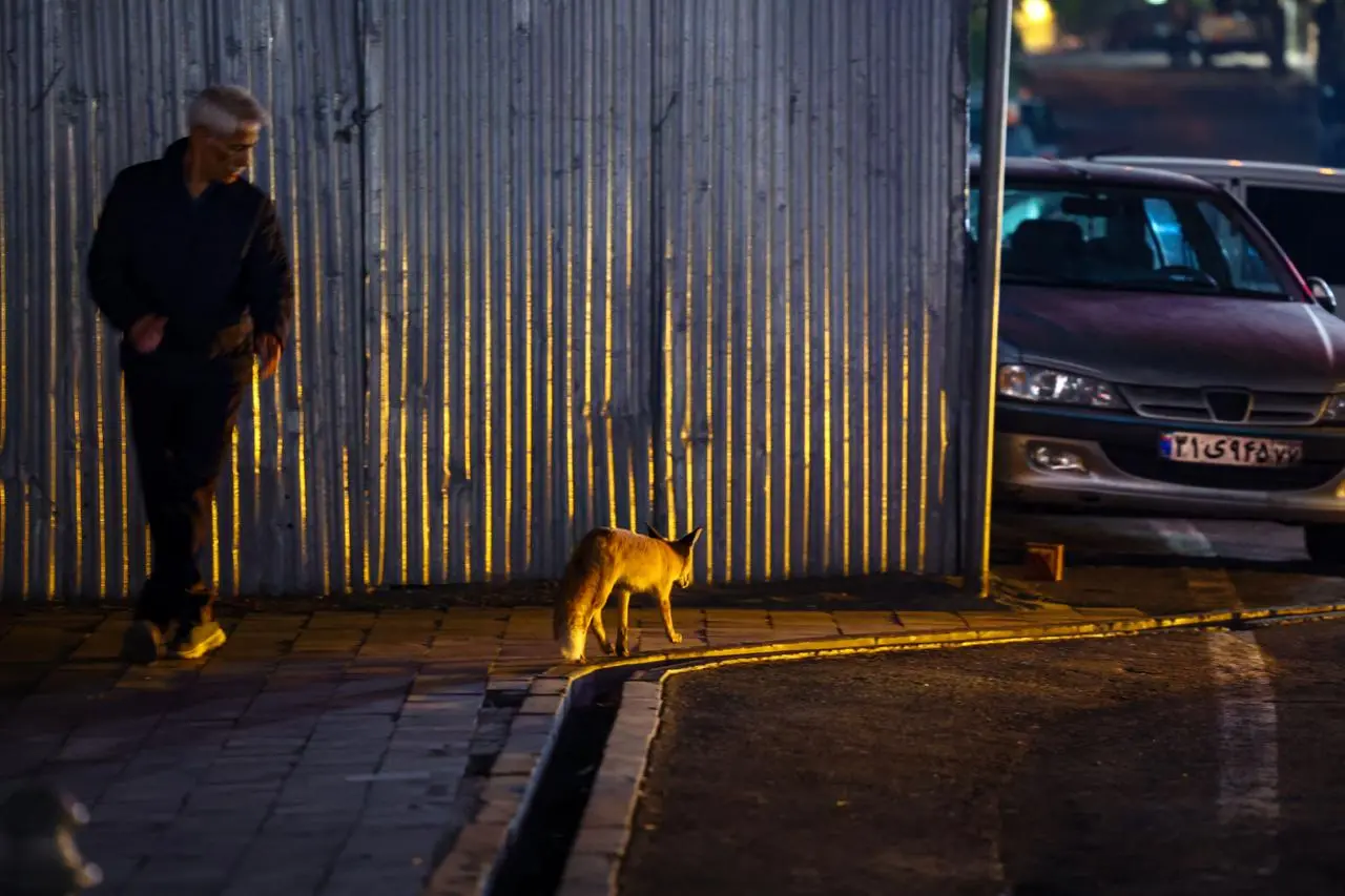 IMG_20251127_190929_915