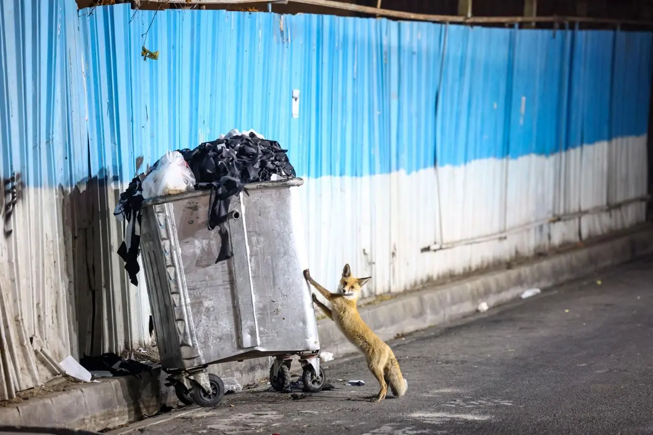 photo_2025-11-27_10-17-01