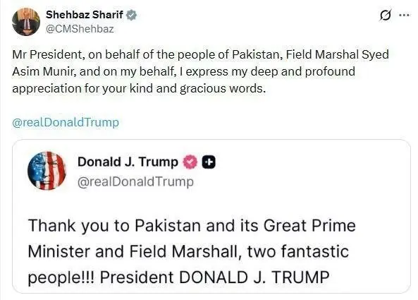 photo_2026-04-17_21-50-01