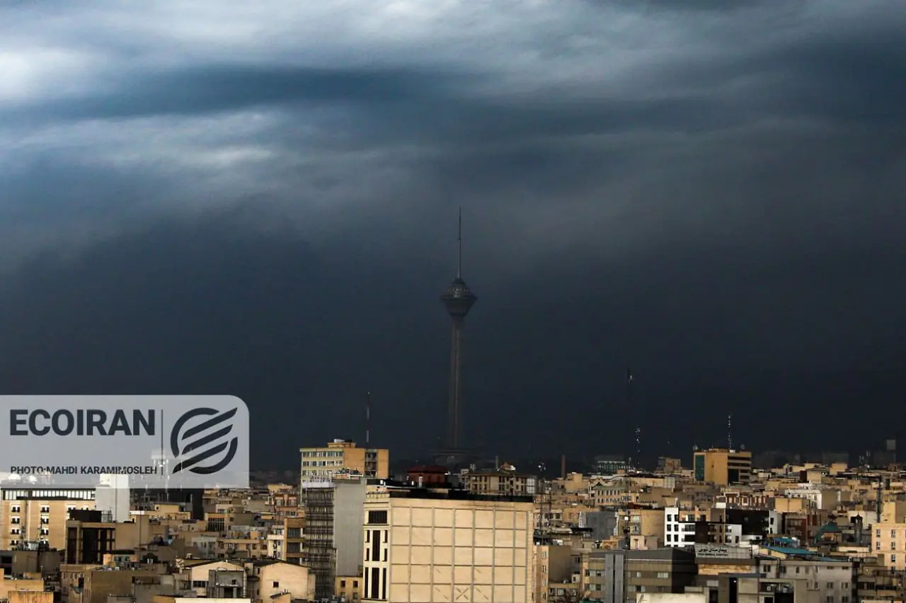 photo_2026-03-08_13-59-48