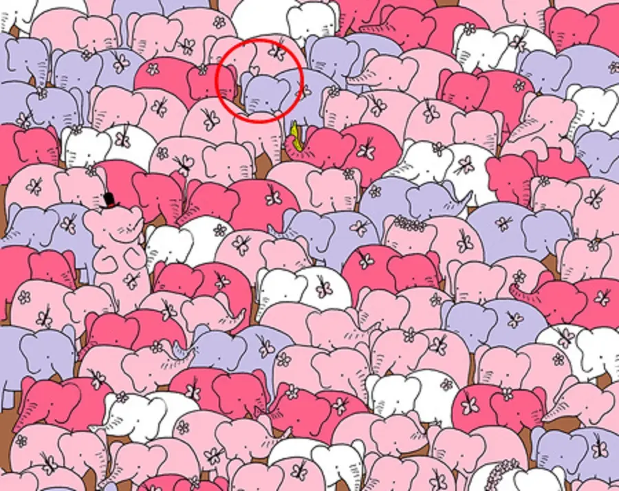 find-hidden5-4