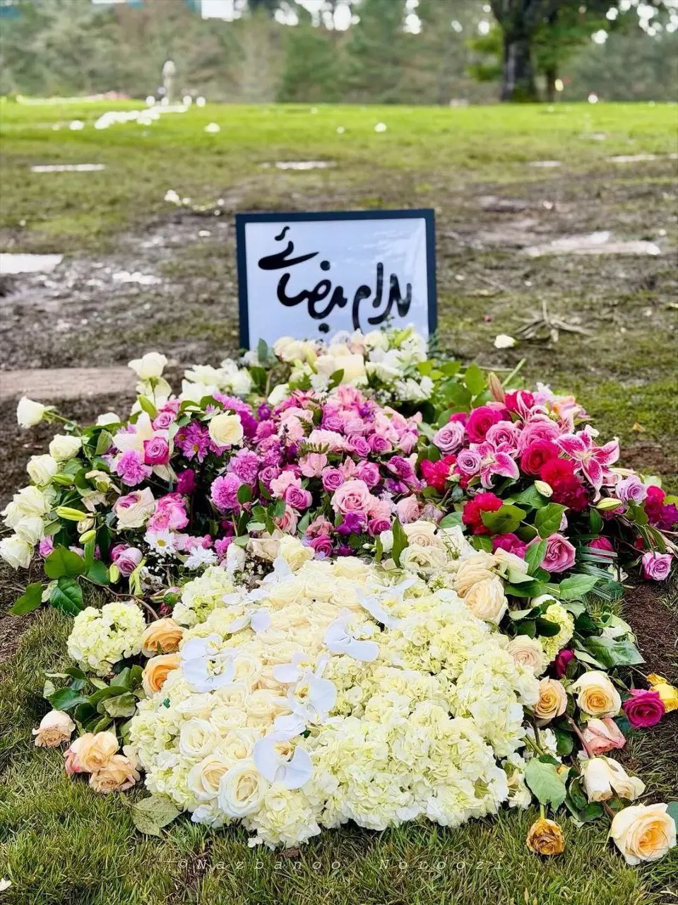 IMG_20260104_232426_626