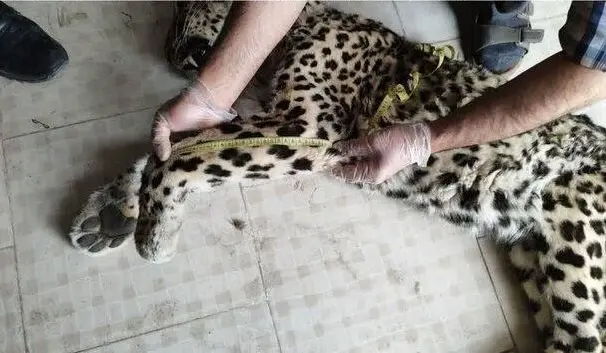 photo_2026-04-14_14-41-06 - Copy