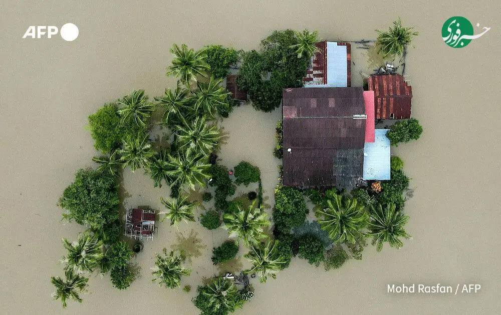 photo_۲۰۲۵-۱۱-۲۸_۰۲-۰۴-۰۸ (2)