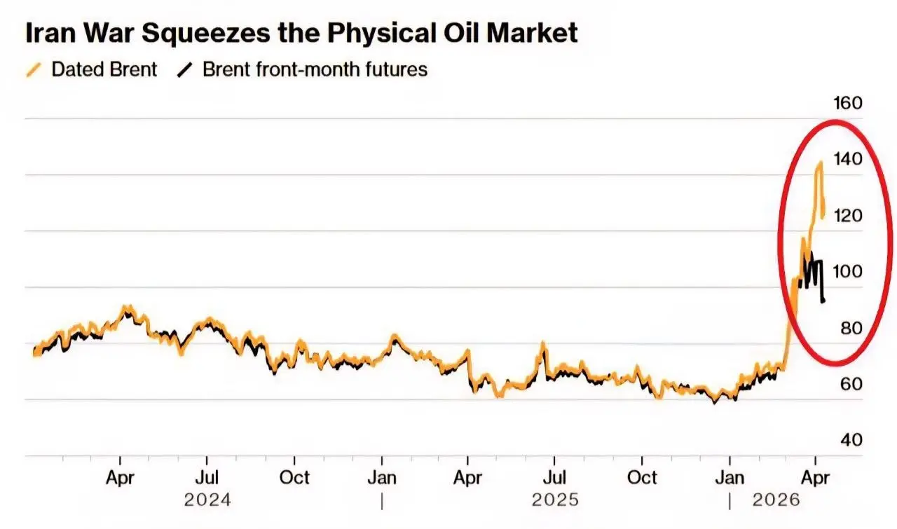 photo_2026-04-15_16-02-24