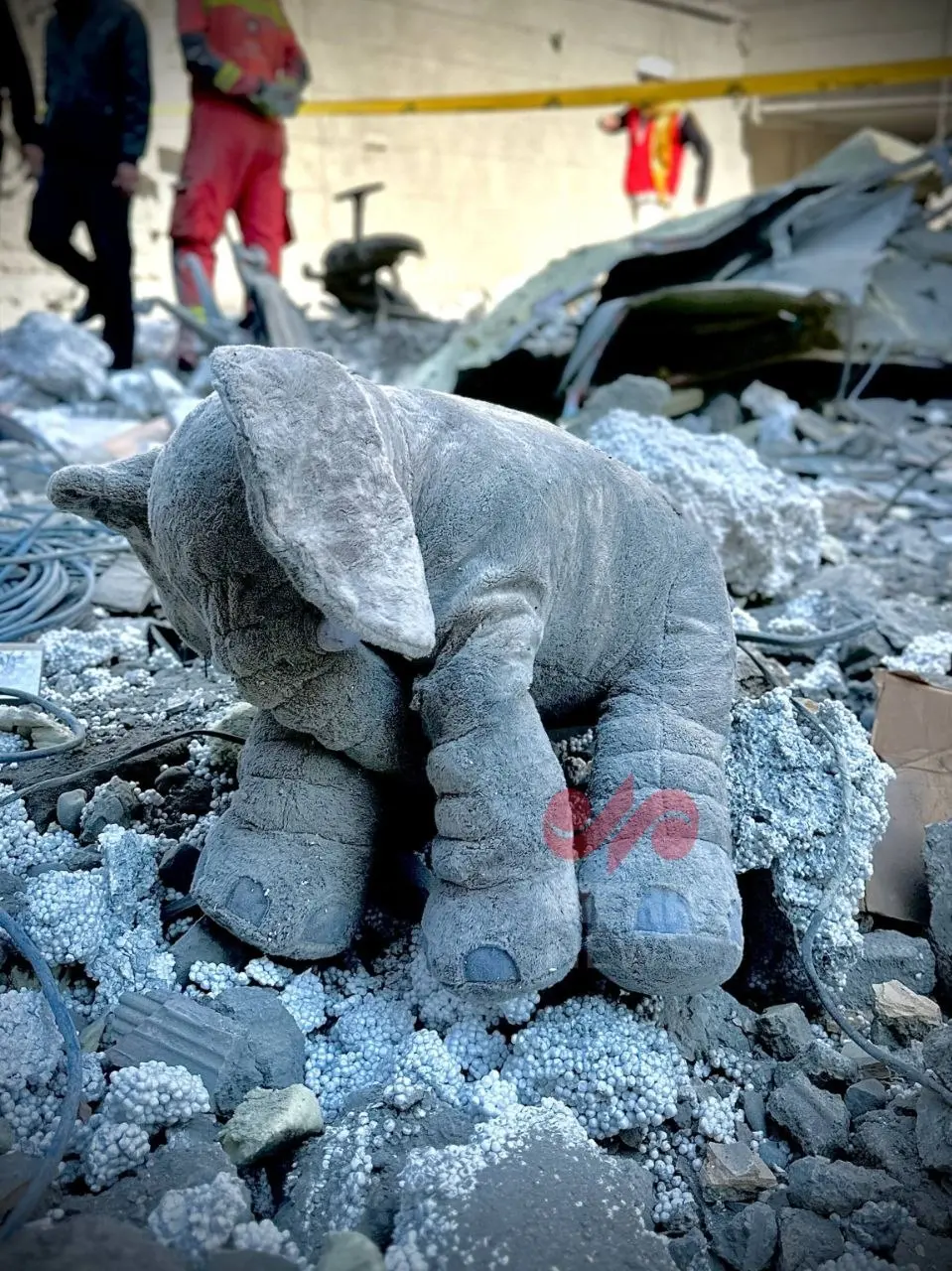 IMG_20260401_114606_881