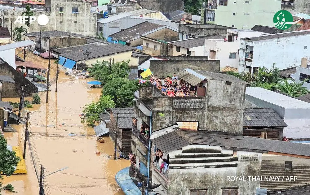 photo_۲۰۲۵-۱۱-۲۸_۰۲-۰۴-۰۷ (2)