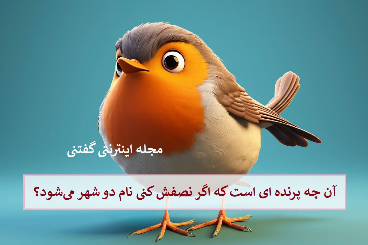 چیستان: آن چه پرنده ای است که اگر نصفش کنید نام دو شهر میشود؟ چیستان: آن چه پرنده ای است که اگر نصفش کنید نام دو شهر میشود؟