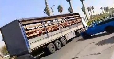 جابجایی دانش آموزان یک مدرسه در جهرم با کامیون/ ویدئو