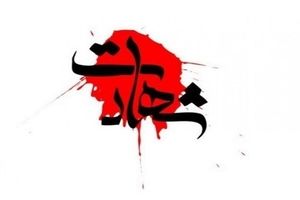 جانشین اطلاعات نیروی هوا و فضای سپاه به شهادت رسید