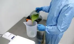 واکسن کرونا با برگ تنباکو ساخته می‌شود