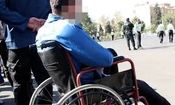 عقاب چگونه سردسته باند سارقان شد؟
