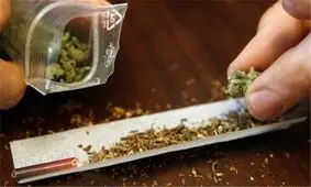 چه کسی می‌گوید یکبار مصرف گل اعتیادآور نیست؟/ ویدئو