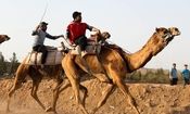 شترسواری ایران به بازی های کشورهای اسلامی اعزام می شود؟

