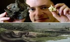 بیرون کشیدن مار ۹۰۰ کیلویی از معدن زغال‌سنگ / عکس