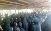 خودکشی 3 دختر به دنبال تهدید اخاذی اینترنتی و فشار اجتماعی/ بازداشت 3 نفر
