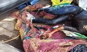 ماجرای دلهره آور جسد زیلوپیچ