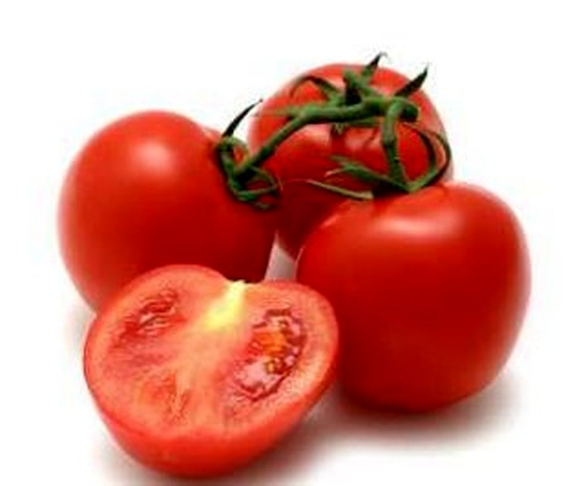 روش های نگهداری گوجه فرنگی در فریزر