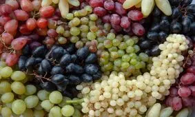 این موقع انگور بخورید چاق می‌شوید