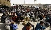 جمع آوری ۹۷ نفر اتباع بیگانه غیرمجاز در زابل

