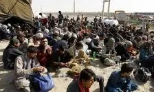 جمع آوری ۹۷ نفر اتباع بیگانه غیرمجاز در زابل
