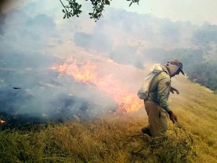 آتش ۱۰هکتار از جنگل ابر را فرا گرفته است