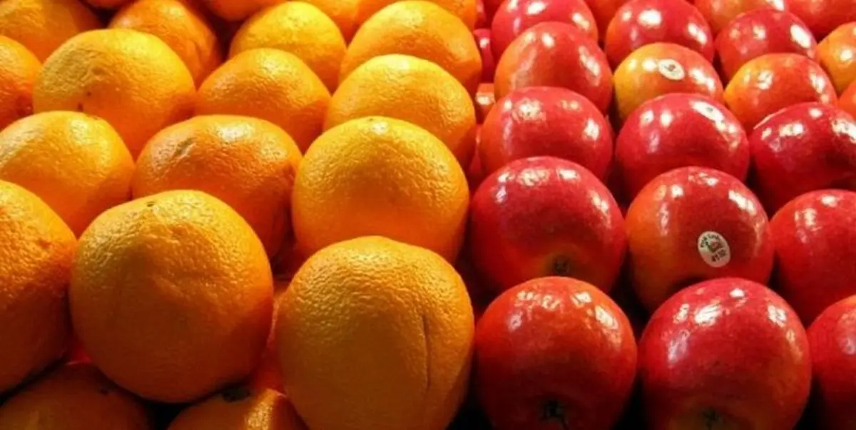قیمت سیب و پرتقال شب عید اعلام شد/صادرات کدام میوه‌ها متوقف شد؟