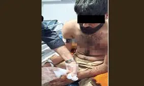 جنایت گانگستری فقط برای یک گوسفند