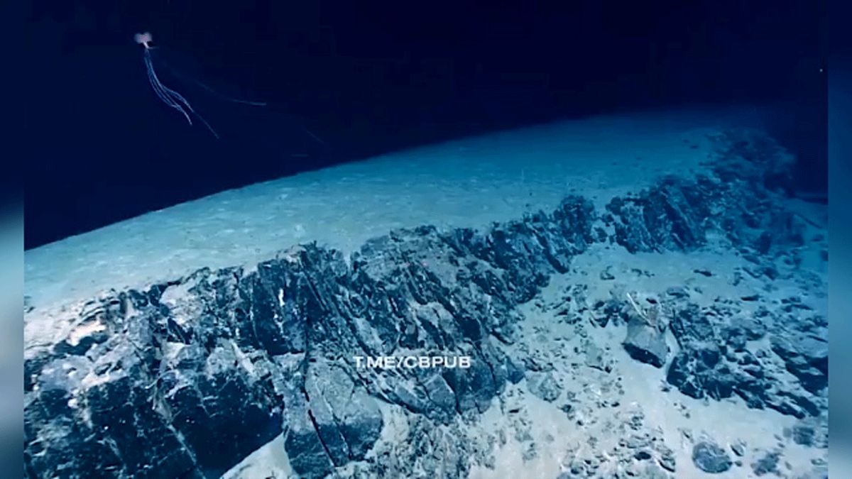 کشف موجود دریایی ناشناخته در اعماق خلیج مکزیک/ ویدئو