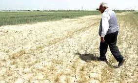 کشاورزان ایرانی در استرالیا و کانادا سر زمین می روند!