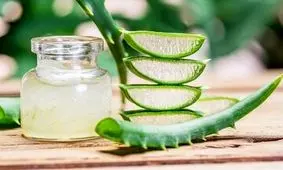 ۶ خاصیت معجزه آسای « آلوئه ورا » برای سلامتی