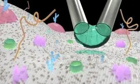  قراردادن ویروس روی یک سلول و ارائه روش‌های درمانی جدید