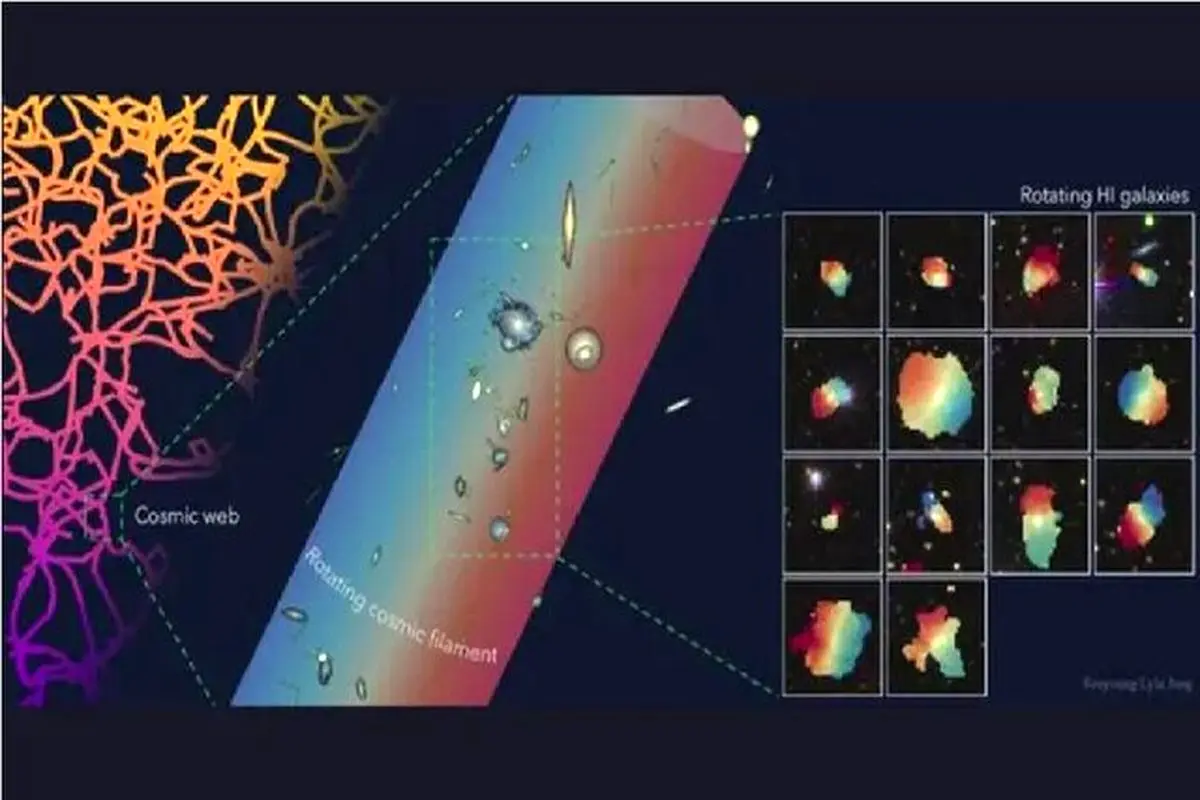 یک رشته عظیم کیهانی به طول ۵۰ میلیون سال نوری کشف شد

