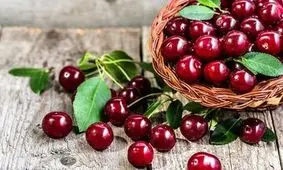 آنتی اکسیدانی قوی در سبد میوه تابستانی