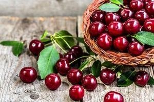 آنتی اکسیدانی قوی در سبد میوه تابستانی