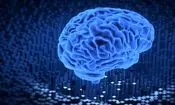 مغز انسان چه زمانی پیر می‌شود؟