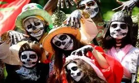 عکس های جذاب و دیدنی، از اسب های ایسلندی در مزرعه تا تبدیل هواپیما به رستوران در پشت بام