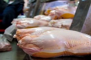 ورود مرغ‌ های آلوده به بازار ایران!/ رئیس‌جمهور مانع از واردات مرغ از بلاروس شود