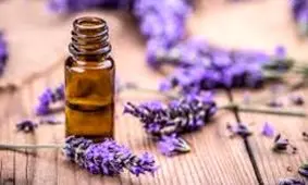 کاهش اضطراب و استرس با مصرف یک دمنوش گیاهی