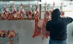 هشدار دامپزشکی اصفهان درباره بروز تب کریمه