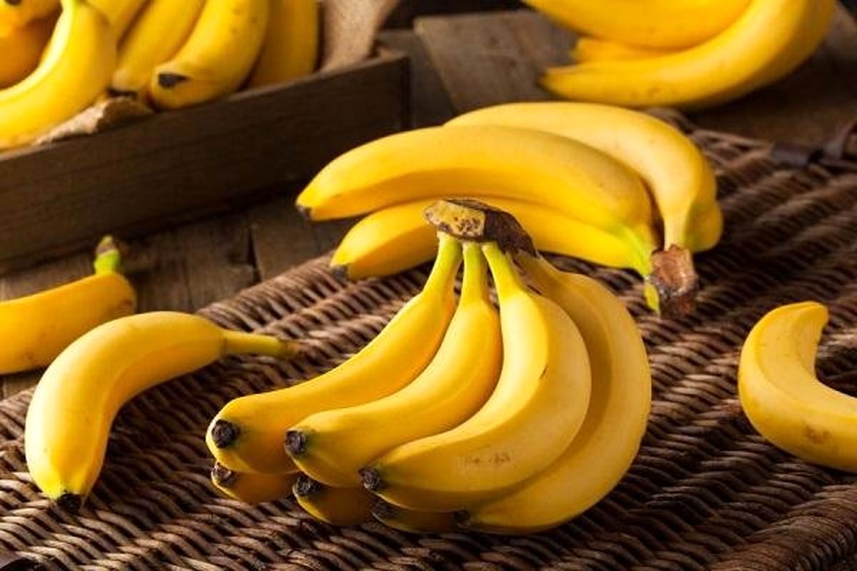 دلایل افزایش قیمت موز

